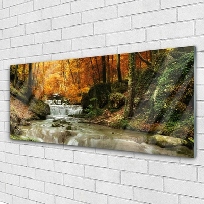 Quadro de vidro Cachoeira Floresta Natureza