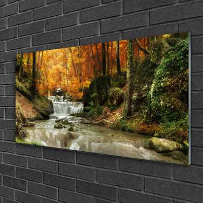Quadro de vidro Cachoeira Floresta Natureza
