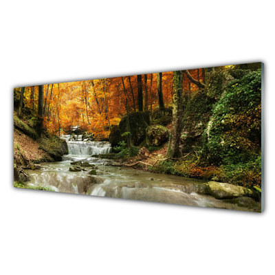 Quadro de vidro Cachoeira Floresta Natureza