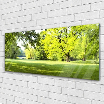 Pintura em vidro Parque das Árvores de Grama Natureza