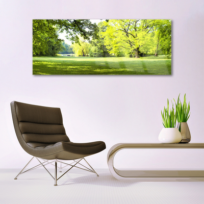 Pintura em vidro Parque das Árvores de Grama Natureza