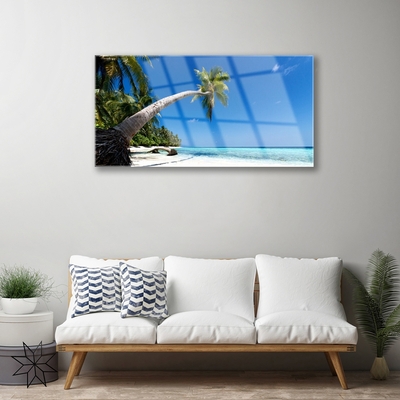 Quadro de vidro Praia Palmeira Mar Paisagem