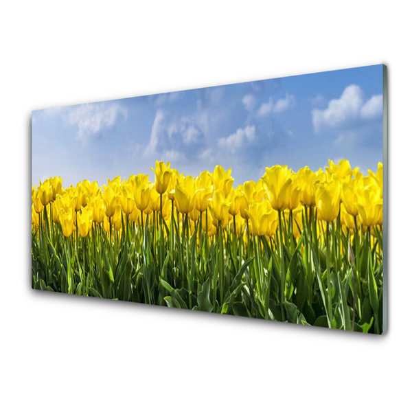 Quadro de vidro Tulipas Flores Planta