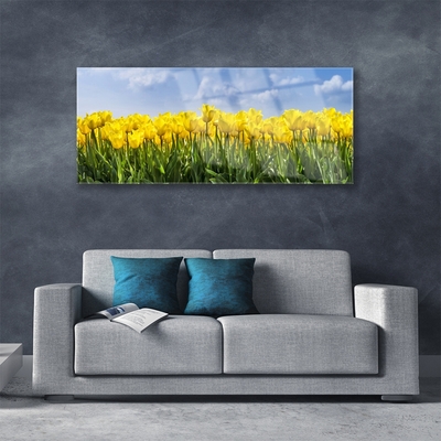 Quadro de vidro Tulipas Flores Planta