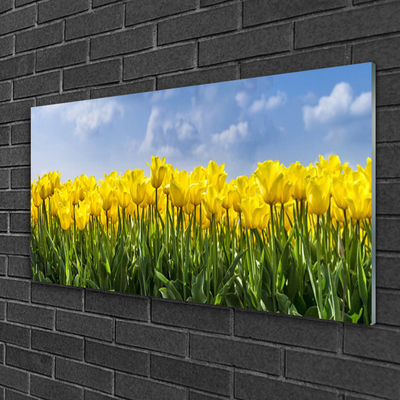Quadro de vidro Tulipas Flores Planta