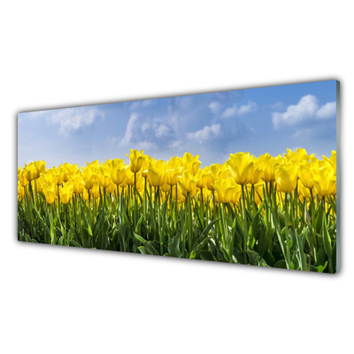 Quadro de vidro Tulipas Flores Planta