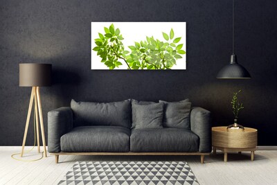 Pintura em vidro Ramo Folhas Planta Natureza
