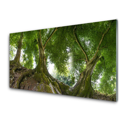 Quadro de vidro Árvores Plantam Natureza