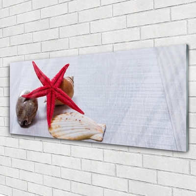 Pintura em vidro Arte de conchas de estrelas do mar