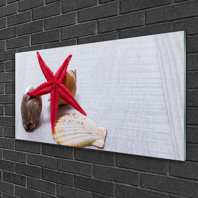 Pintura em vidro Arte de conchas de estrelas do mar