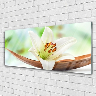 Quadro de vidro Flor Planta Natureza