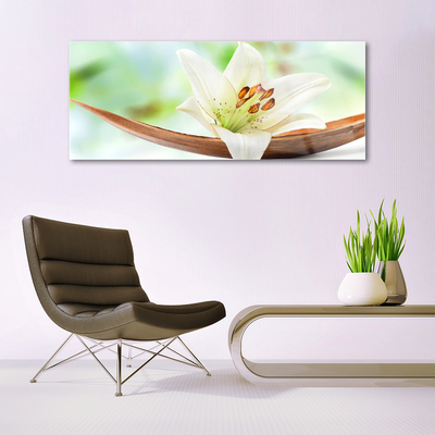 Quadro de vidro Flor Planta Natureza