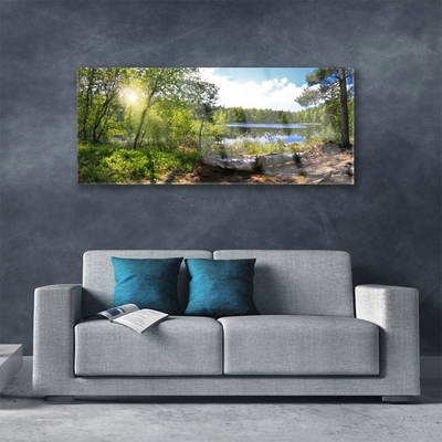 Quadro de vidro Árvores da Floresta Lago Natureza