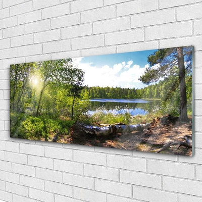 Quadro de vidro Árvores da Floresta Lago Natureza