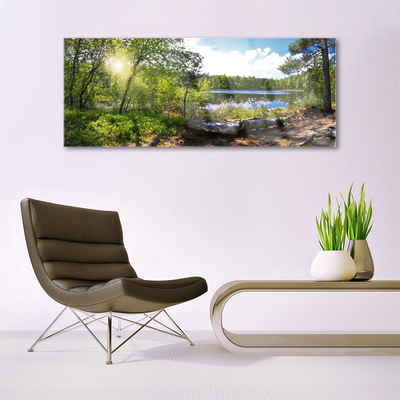Quadro de vidro Árvores da Floresta Lago Natureza