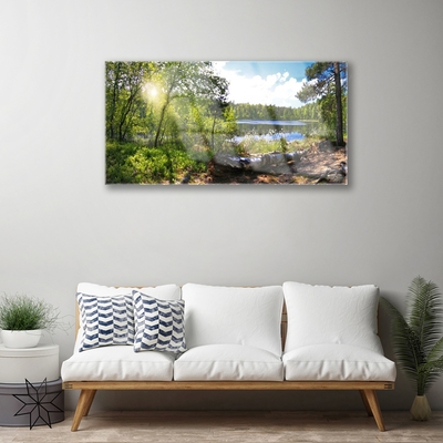 Quadro de vidro Árvores da Floresta Lago Natureza