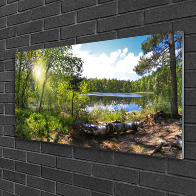 Quadro de vidro Árvores da Floresta Lago Natureza