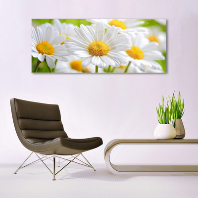 Pintura em vidro Margaridas Planta Natureza
