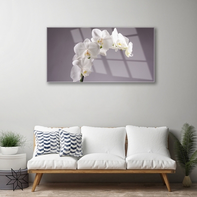 Quadro de vidro Flores Planta Natureza