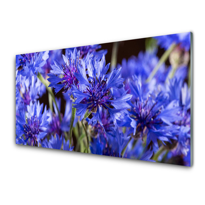 Quadro de vidro Flores Planta Natureza