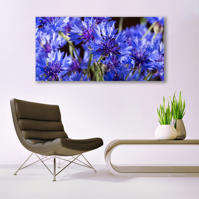 Quadro de vidro Flores Planta Natureza