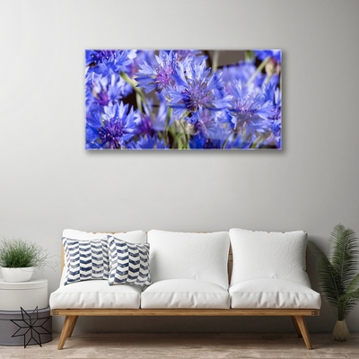 Quadro de vidro Flores Planta Natureza