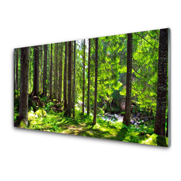 Quadro de vidro Árvores da Floresta Plantam a Natureza