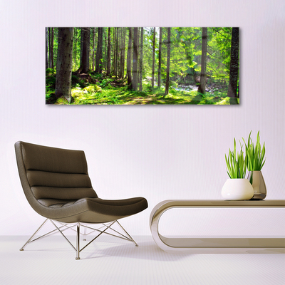 Quadro de vidro Árvores da Floresta Plantam a Natureza