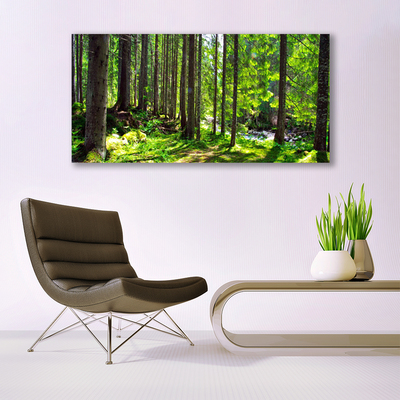 Quadro de vidro Árvores da Floresta Plantam a Natureza