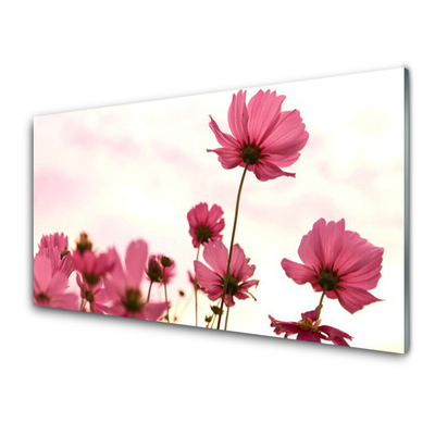 Quadro de vidro Flores Planta Natureza