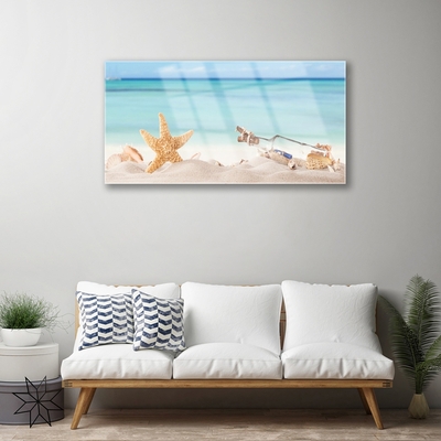 Quadro de vidro Praia das Conchas das Estrelas do Mar