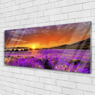 Pintura em vidro Campo de lavanda ao pôr do sol