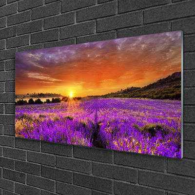 Pintura em vidro Campo de lavanda ao pôr do sol