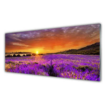 Pintura em vidro Campo de lavanda ao pôr do sol