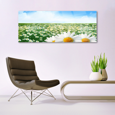 Quadro de vidro Margaridas Flores Prado Campo