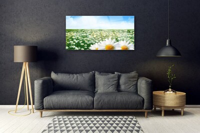 Quadro de vidro Margaridas Flores Prado Campo