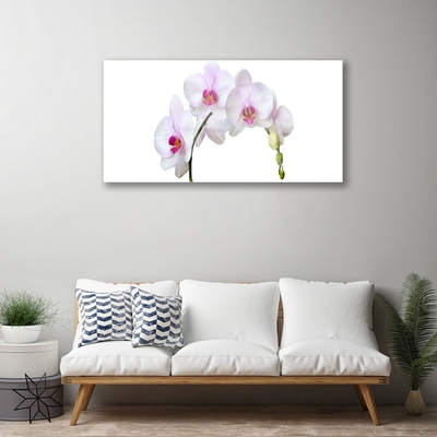 Pintura em vidro Orquídea Flores de Orquídea