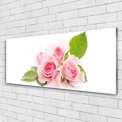 Quadro de vidro Rosas Flores Planta Natureza