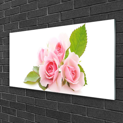 Quadro de vidro Rosas Flores Planta Natureza