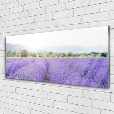 Pintura em vidro Campo de Lavanda Natureza Prado