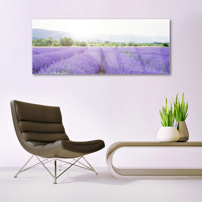 Pintura em vidro Campo de Lavanda Natureza Prado