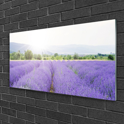 Pintura em vidro Campo de Lavanda Natureza Prado