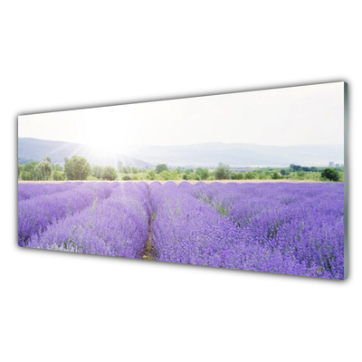 Pintura em vidro Campo de Lavanda Natureza Prado