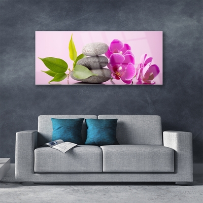 Quadro de vidro Orquídea Flores de Orquídea