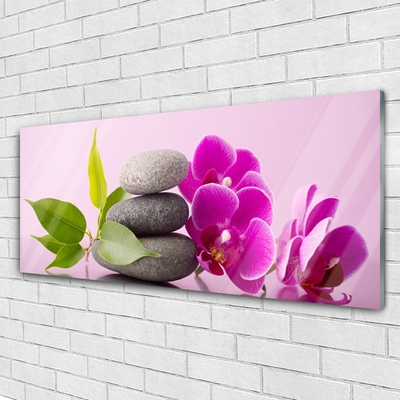 Quadro de vidro Orquídea Flores de Orquídea