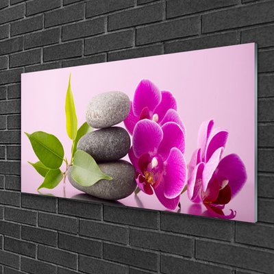 Quadro de vidro Orquídea Flores de Orquídea