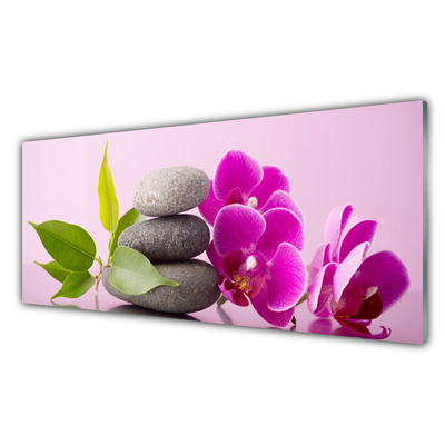 Quadro de vidro Orquídea Flores de Orquídea