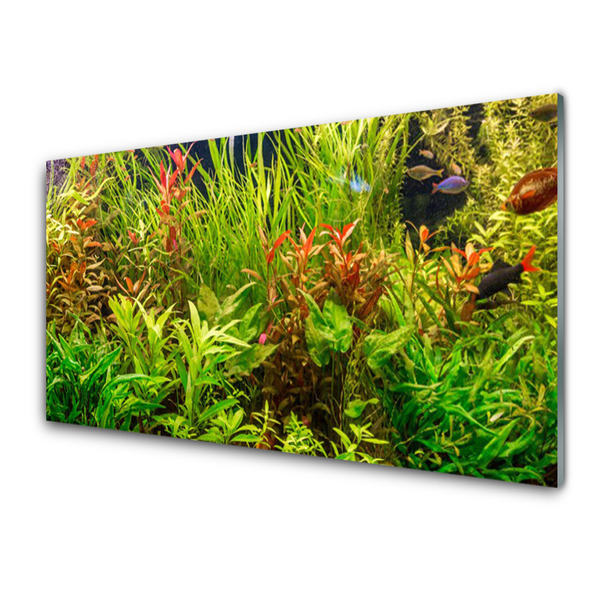 Quadro de vidro Plantas para peixes de aquário