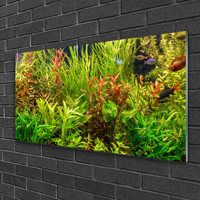 Quadro de vidro Plantas para peixes de aquário