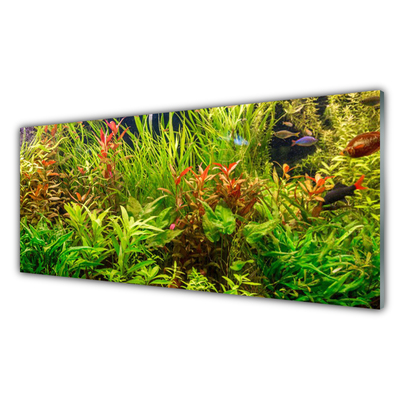 Quadro de vidro Plantas para peixes de aquário